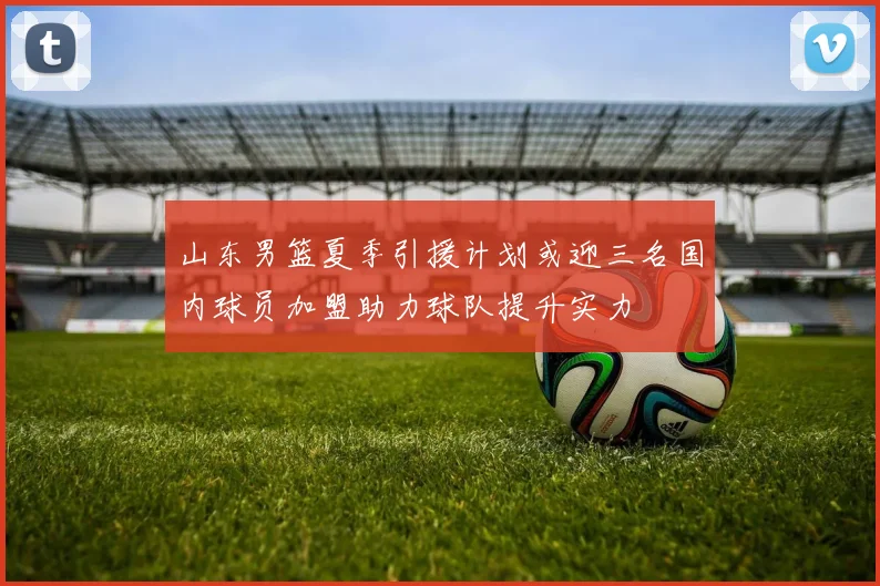 山东男篮夏季引援计划或迎三名国内球员加盟助力球队提升实力